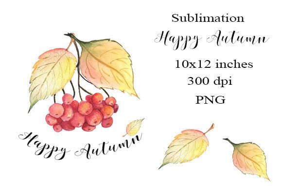 Watercolor Autumn Graphics for Branding