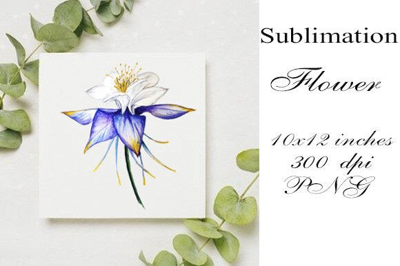 Watercolor Sublimation Flower PNG